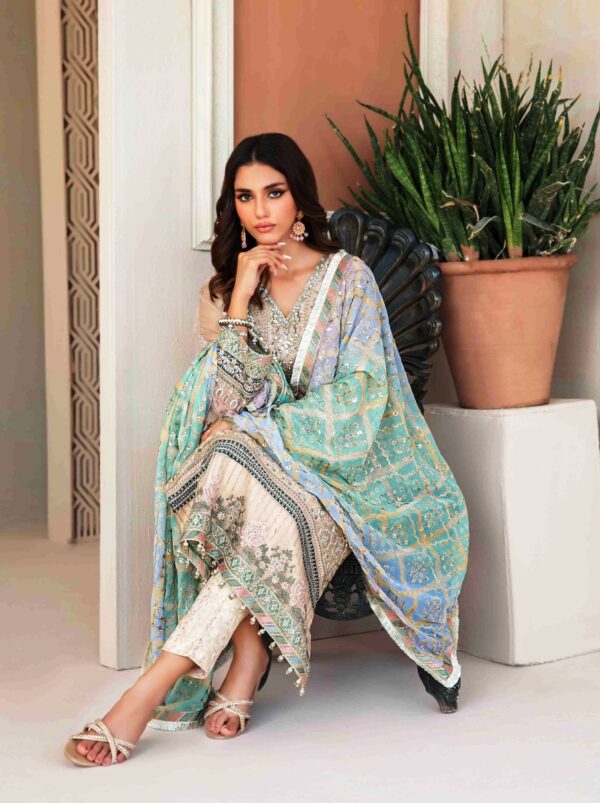 Sky blue embroidered dupatta