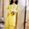Pakistani festive jacquard dress